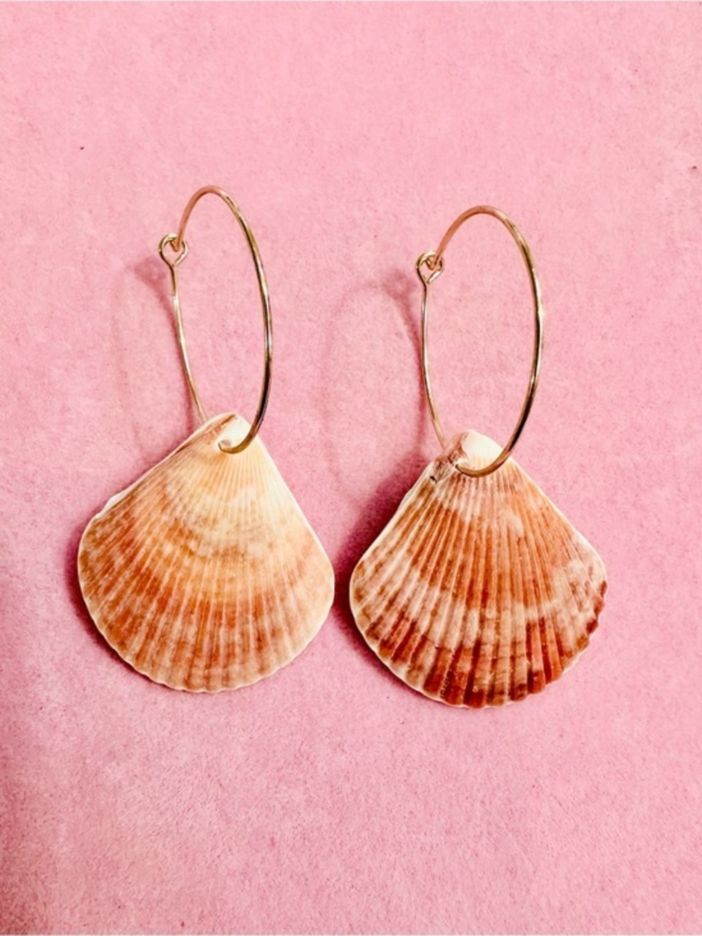 NWT Coastal Seashell Hoop Earrings